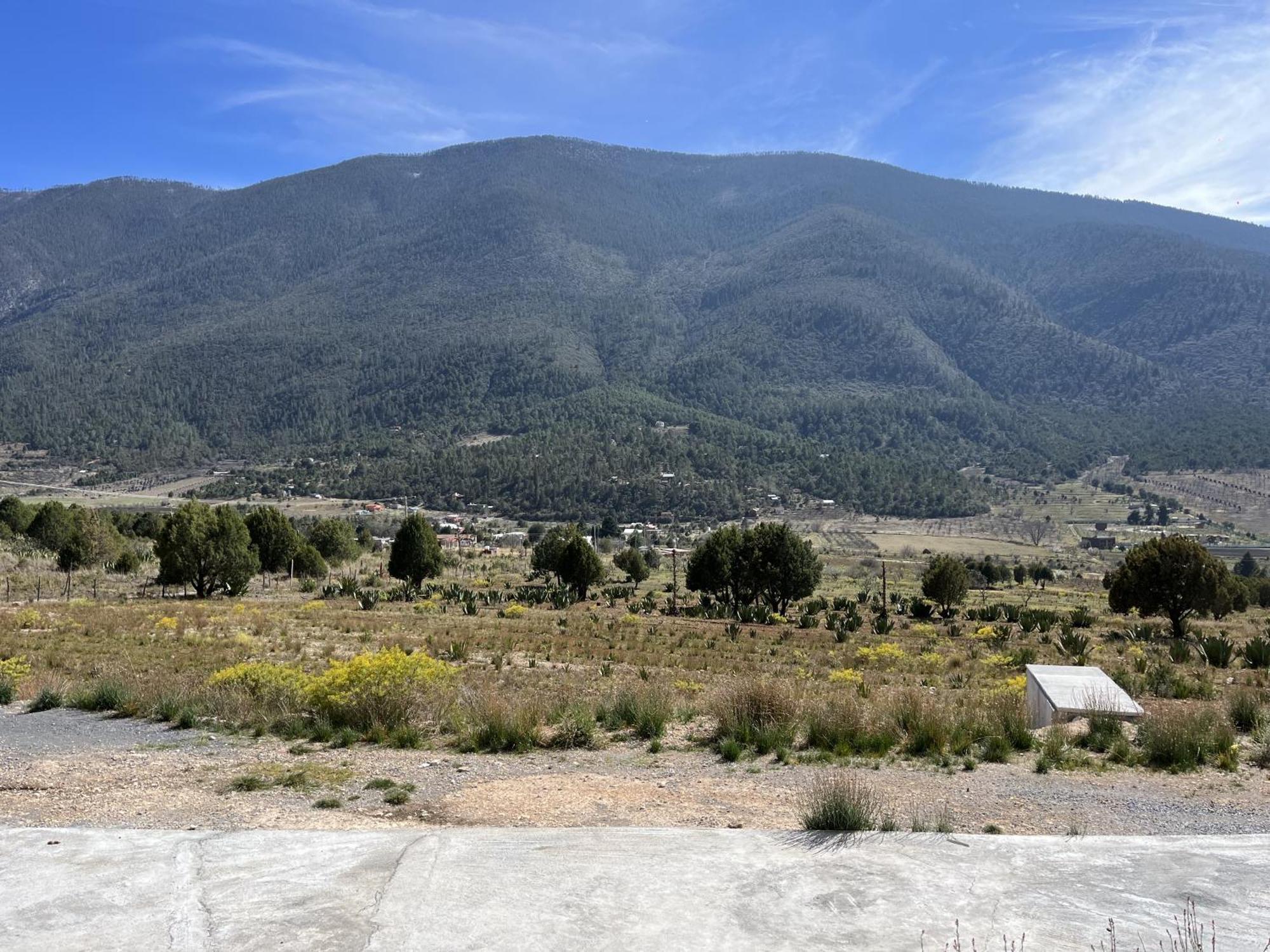 Camping En La Sierra De Arteaga Los Lirios エクステリア 写真