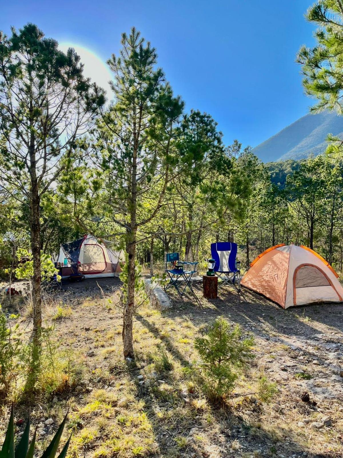 Camping En La Sierra De Arteaga Los Lirios エクステリア 写真